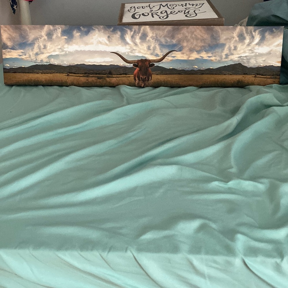 Bull canvas